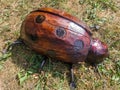 The figure of a ladybug made of wood and reinforcement