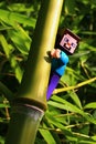 Figure of LEGO Minecraft character Steve climbing on Bamboo node. Royalty Free Stock Photo