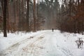 The figure of a man who goes in winter on the road alone in a foggy snowy forest afternoon