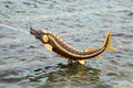 The figure of a metal sturgeon fish with a stream of water from its mouth on a background of turquoise water with ripples