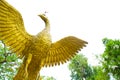 Figure peacock gold Statue Winged