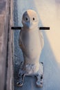 A figure of penguin on a skating ring, close-up Royalty Free Stock Photo