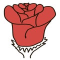 Figure red rose on a white background