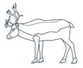 The figure of the Reindeer. Line icon.