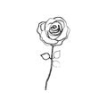 figure rose with leaves icon