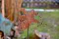 Rusty armor love Angel figure in garden