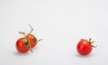 Figure series of small tomato figure