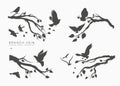 Figure set flock flying birds on tree branch Royalty Free Stock Photo