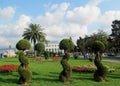 Figure trees and flowers on the seafront in Batumi, Black Sea beach, Georgia