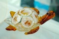 Turtle made of glass Royalty Free Stock Photo