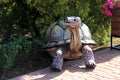 The figure of a turtle under a green Bush