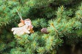 Figure of wood angel with on green spruce. Place for text. Element Christmas design