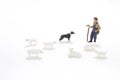 a figure of Working Sheep Dog, Herding Sheep Royalty Free Stock Photo
