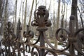 Figured rusty grave fence against background of bare trees. Close-up