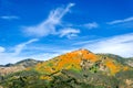 Figureoa Mountain with California Poppies field Royalty Free Stock Photo