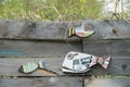 Figures of a fish from wood and old electronics. Creative DIY garden figures. Recycling concept Royalty Free Stock Photo