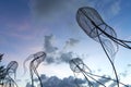 Figures of jellyfish on a background of a sunset sky