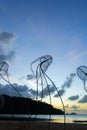 Figures of jellyfish on a background of a sunset sky