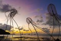 Figures of jellyfish on a background of a sunset sky