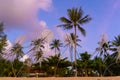 Figures of jellyfish on the beach of a tropical island