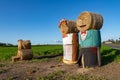 Figures made of sheaves of hay in the field. Ornaments in the countryside prisons Royalty Free Stock Photo