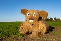 Figures made of sheaves of hay in the field. Ornaments in the countryside prisons Royalty Free Stock Photo