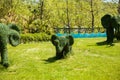 The figures of the topiary in form of elephants