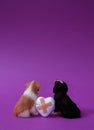 Figures of two dogs, between them a white broken heart with patches on a purple background. Text space. Broken heart, dog lovers, Royalty Free Stock Photo