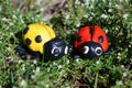 Figures of two ladybirds in the green grass Royalty Free Stock Photo