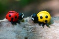 Figures of two ladybirds on a wooden surface Royalty Free Stock Photo