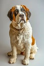 A figurine of a dog sitting on a white surface Royalty Free Stock Photo