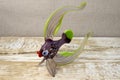 Figurine of fantasy fish made from glass on rough wooden background
