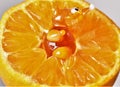 Red glass fox inside half a tangerine