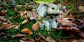 Figurine of a gray baby elephant in the garden on a path with yellow leaves