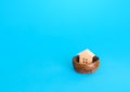 Figurine of a house in a birds nest. Home security concept, real estate insurance. Mortgage credit lending. Affordable housing