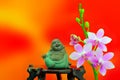 Figurine of laughing buddha and pink orchid flowers Royalty Free Stock Photo