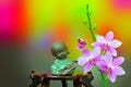 Meditating little buddha and pink orchid flowers