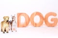 Figurines of dogs and the inscription dog in wooden letters Royalty Free Stock Photo