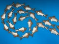 Figurines of fish made of metal and iron. application, fish in a row are folded into a figure. small fish on a blue background