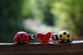 Figurines of two ladybirds made of plasticine. There`s a heart between them. Symbol of love