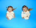 Figurines of two small angels.