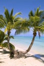 Fiji, Beach Royalty Free Stock Photo