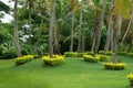 Fiji Garden Art Royalty Free Stock Photo