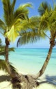 Fiji Island, beach Royalty Free Stock Photo