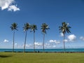 Fiji island best ever beach photo. Green grass garden with a couple of persona sitting forefront.