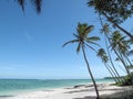 Fiji island best ever beach photo. Natural panorama. Natural crystal clear water. High palms under the wind