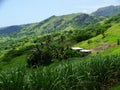 Fiji landscapes near the Navala village Royalty Free Stock Photo