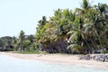 Fiji Paradise Series - Beach with Palm Trees at First Landing - Viti Levu