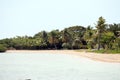 Fiji Paradise Series - Beach with Palm Trees at First Landing - Viti Levu