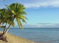 Fijian Beach and Palm Trees Royalty Free Stock Photo